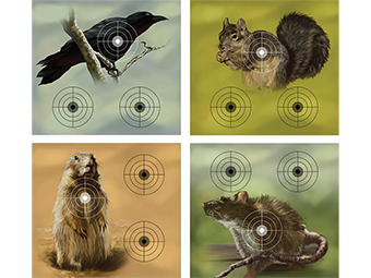Crosman Varmint Targets