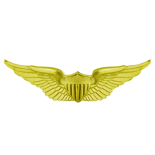 Basic Aviator Army Gold Wing Patch