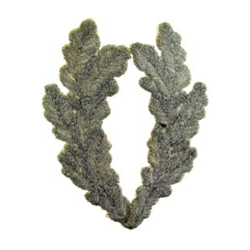 Patch-Scram.Egg Silver