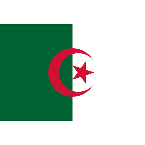 Algeria Country Flag