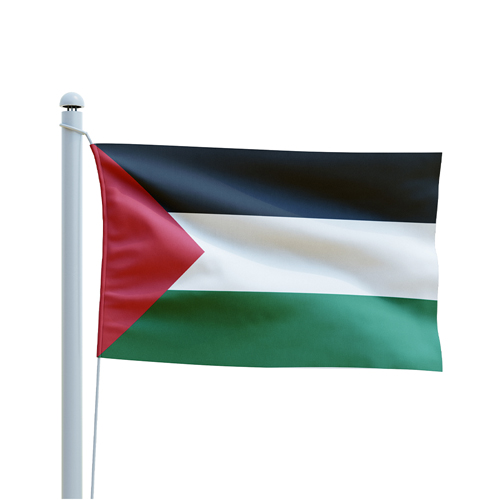 Palestine Country Flag