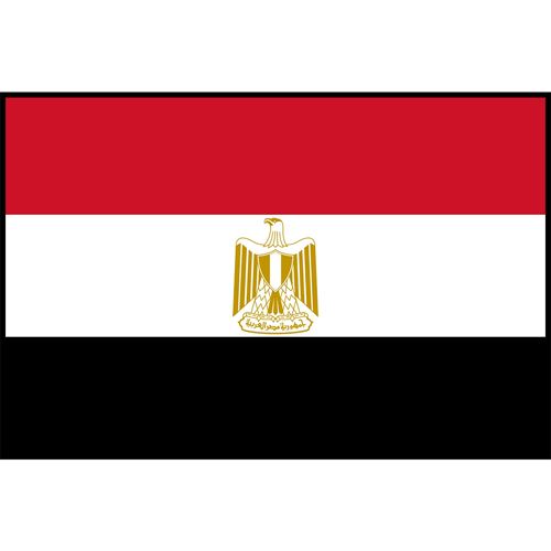 Egypt Flag Printed Patch