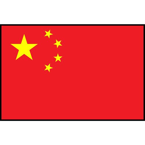 China Flag Printed Patch