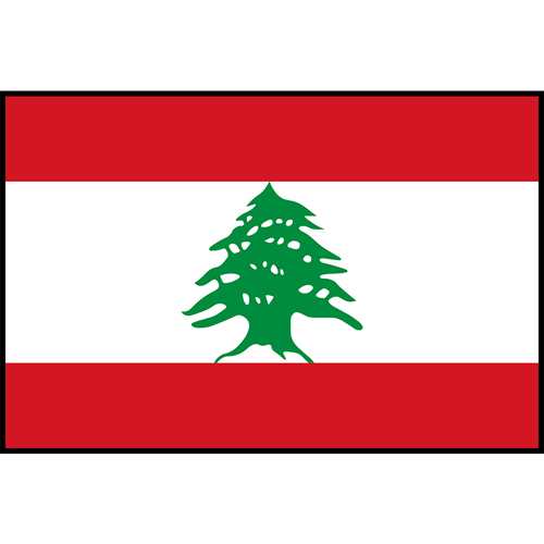Lebanon Flag Printed Patch