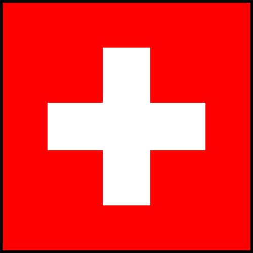 Swiss Flag Printed Patch