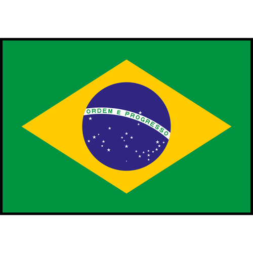 Brazil Flag Printed Patch