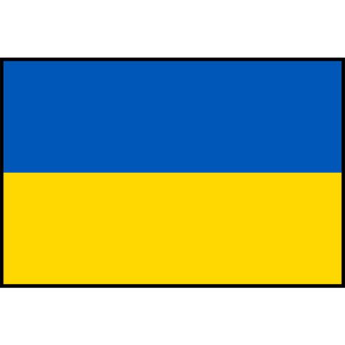 Ukraine Flag Printed Patch