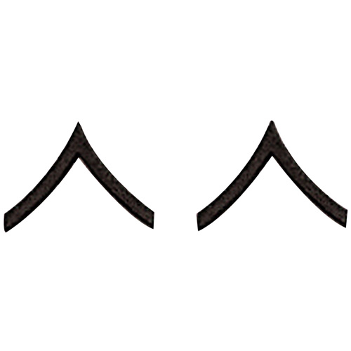 Private Polished Insignia