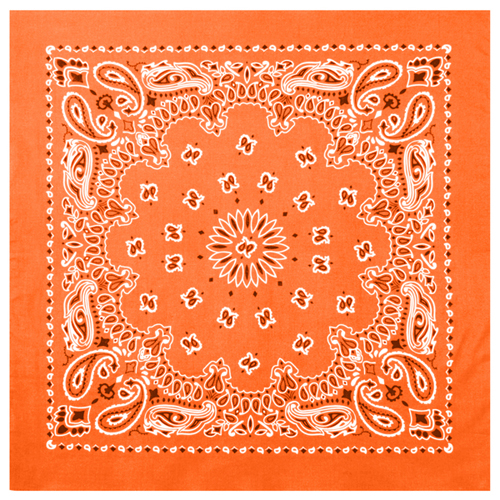 Trainmen Bandana