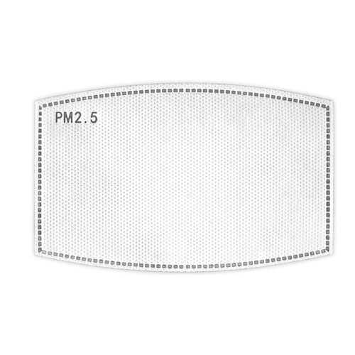 Replacement PM2.5 Filter - 5Pack 