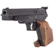 V10 .177 Pellet Match gun