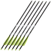 TrueX Crossbow Bolts