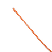 100 ft Military Paracord