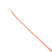 100 ft Military Paracord