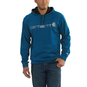 Force Extremes Signature Graphic Hooded Sweatshirt