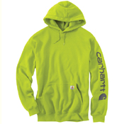 Loose Fit Midweight Logo Sleeve Graphic Sweatshirt