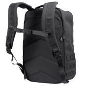 Condor Aesthetic Prime Pack