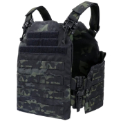 Cyclone RS Plate Carrier
