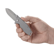 Assisted Squid Folding Knife