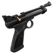 Crosman .22 CO2 Gun