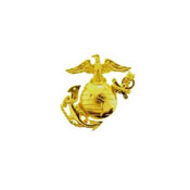 Left Medium Gold 1-1/4 Inch Usn Pin