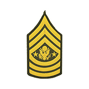 Patch Army E9 CMD SGT MAJ Pair Dress Green