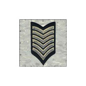 Fuzzy Dude Stripes Six  Gold on Black