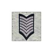 Fuzzy Dude Stripes Six  Silver on Black