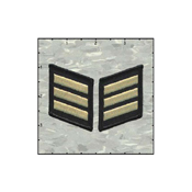 Fuzzy Dude Iron in Metallic Gold on Black Patch