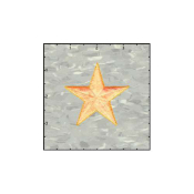 Fuzzy Dude Star Solid 2.5 Inches Neon Orange