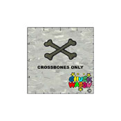 ChuckWagons Skull And Star Green Crossbones Patch