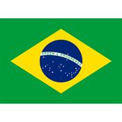Brazil Country Flag