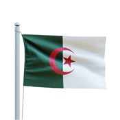 Algeria Country Flag
