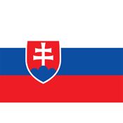 Slovakia Country Flag