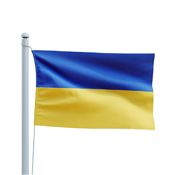 Ukraine Country Flag