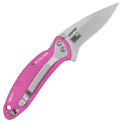 Kershaw Chive Assisted Folding Knife
