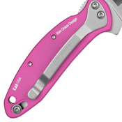 Kershaw Chive Assisted Folding Knife