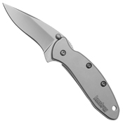 Kershaw Chive Assisted Folding Knife