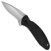 Kershaw Scallion Assisted Folding Knife