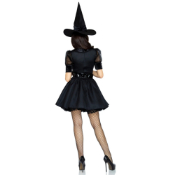 Bewitching Witch Costume