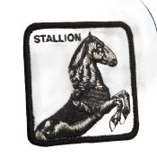 Goorin Bros The Suede Stallion Trucker Cap
