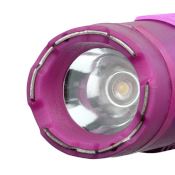 Stun gun with Torch and Sheath