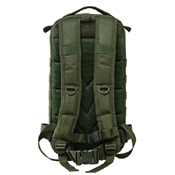 Vism Small Backpack