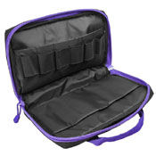 Vism Discreet gun Case