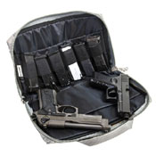 Vism Discreet gun Case