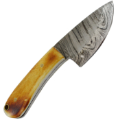 Damascus Fixed Knife Amber Bone w/Sheath
