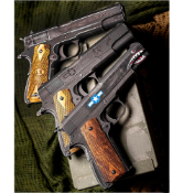 Auto-Ordnance Licensed 1911 Gas Blowback Airsoft Pistol - Victory Girls