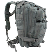 MOLLE Small Assault 25L Backpack