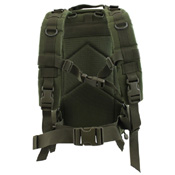 MOLLE Small Assault 25L Backpack