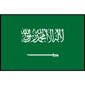 Saudi Arabia Flag Printed Patch